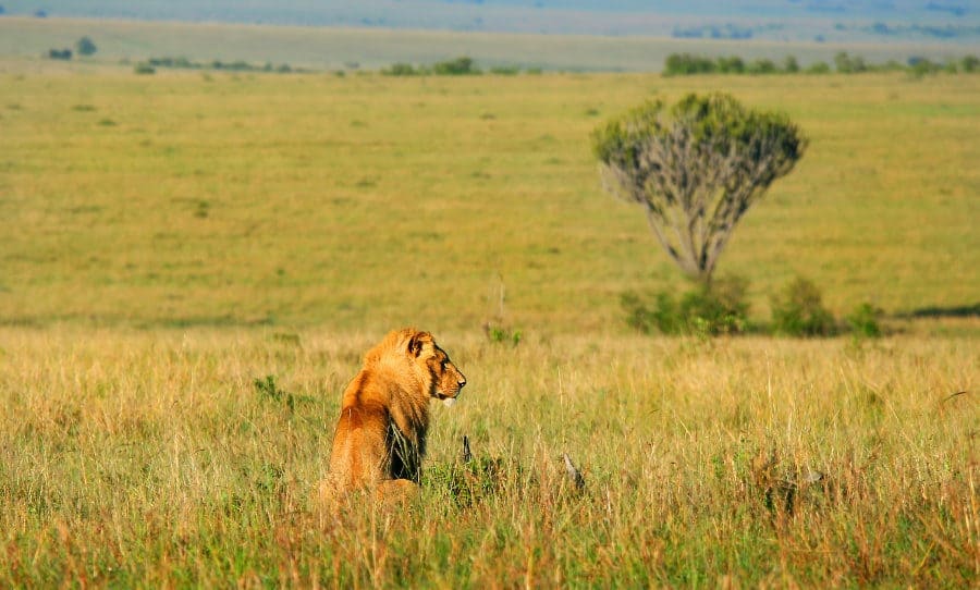 Alunda and Tutshokwe Integral Game Reserve