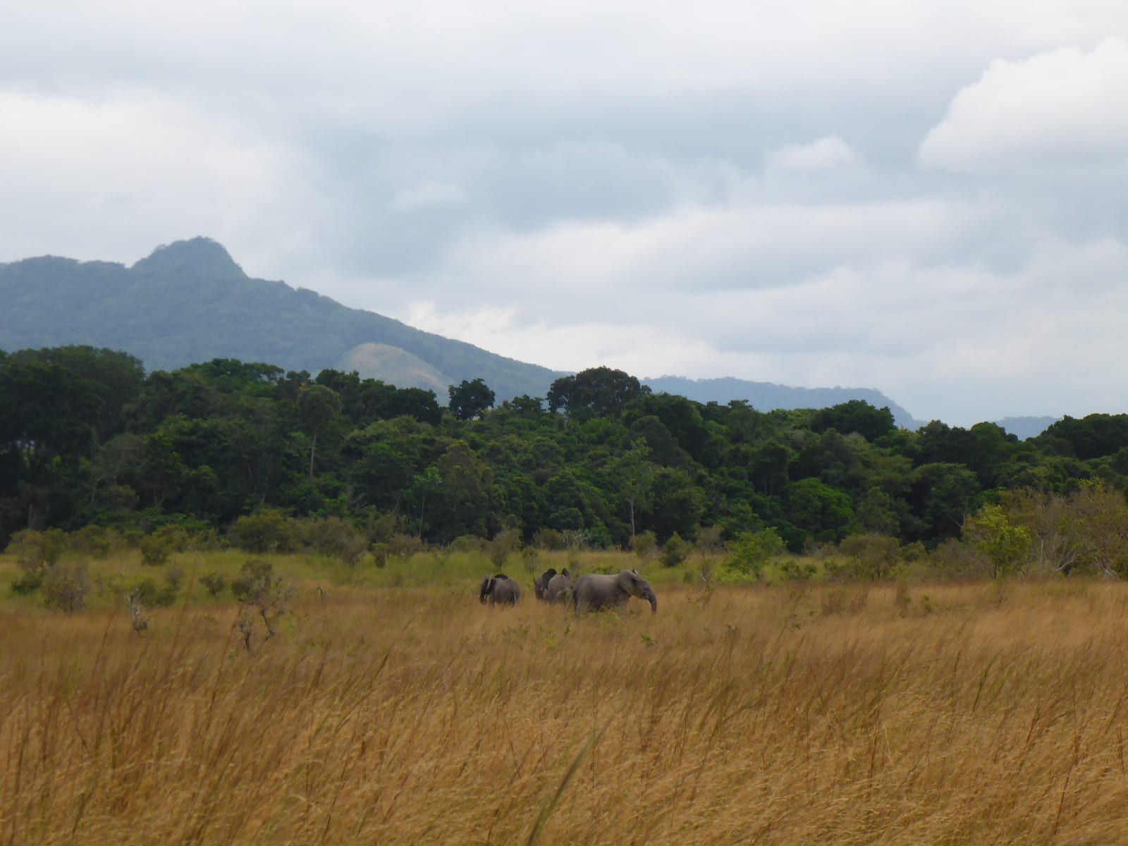 Azande Hunting Domain