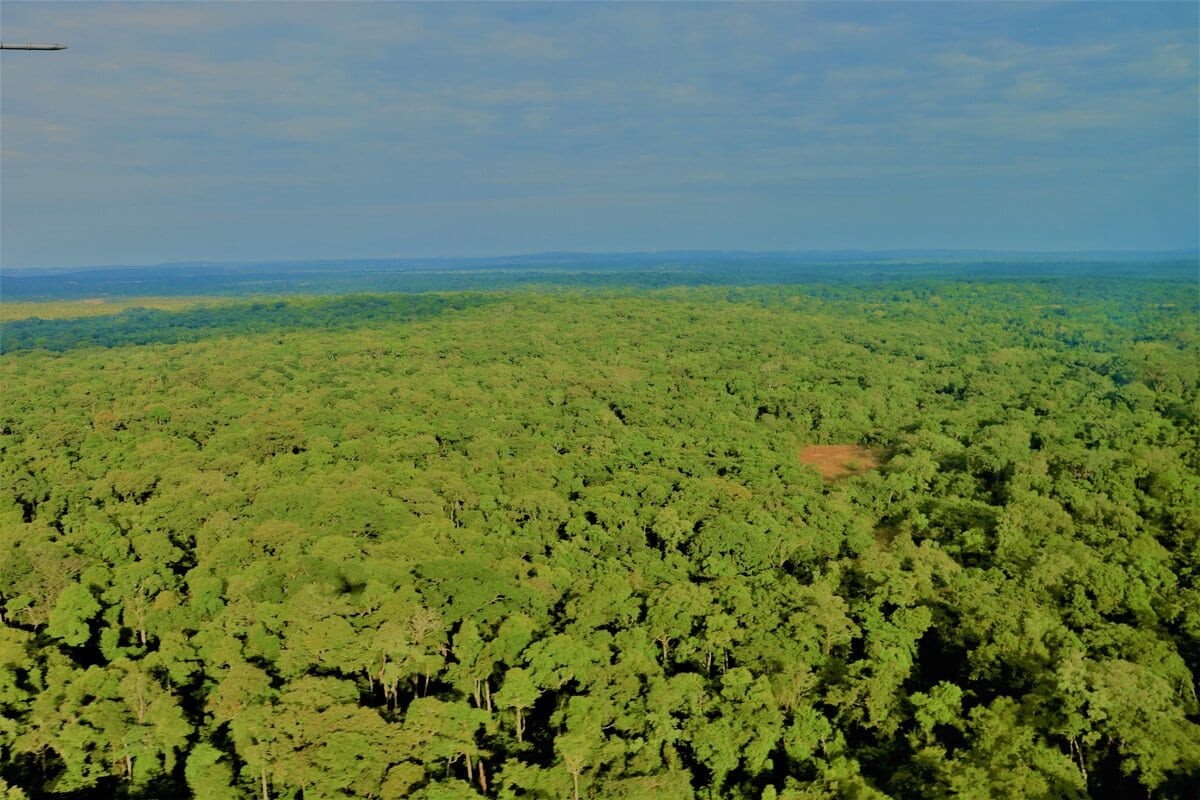Aerial view of Bili-Uéré Hunting Domain forest-savanna mosaic landscape in northeastern DRC