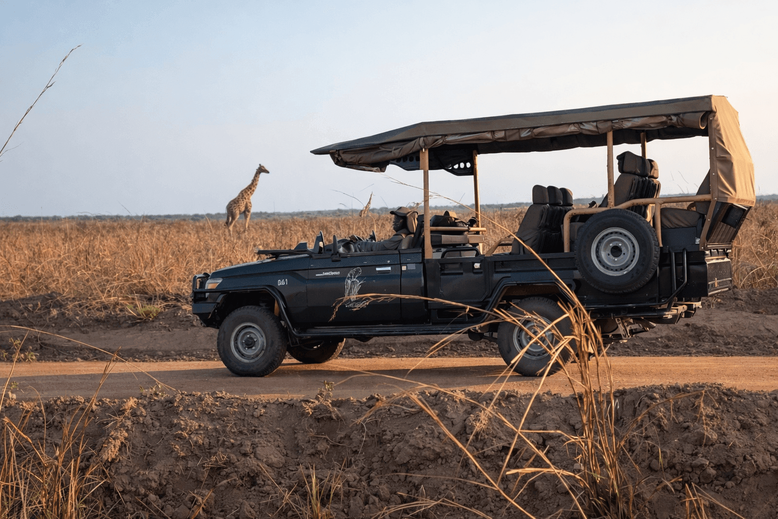 Safari vehicle with giraffe
