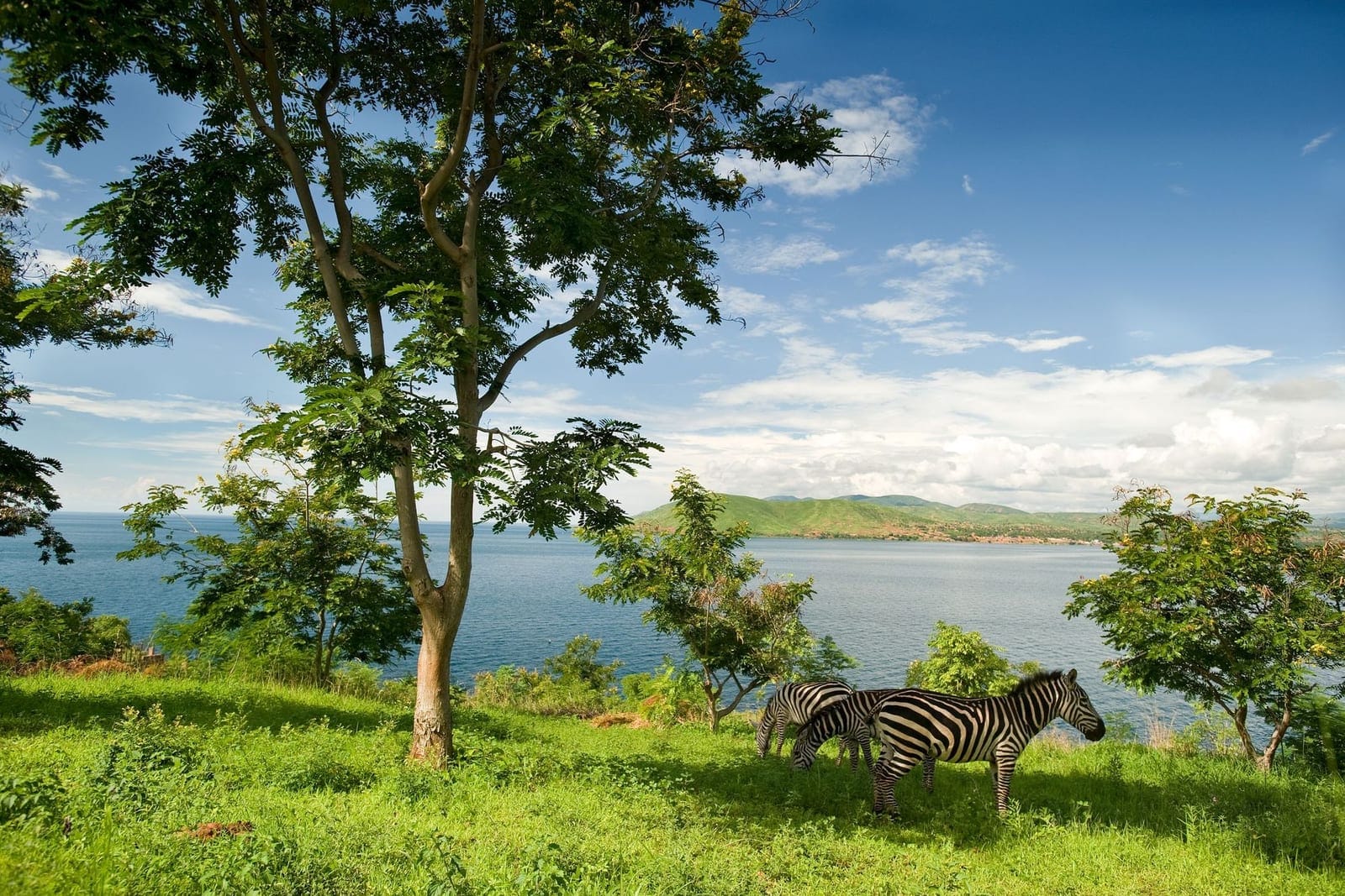 Kihimbi & Luama Rivers — Rivers destination in Tanganyika Province, DRC