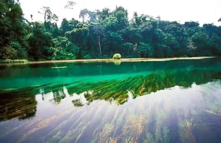Serene Lake Fwa surrounded by natural vegetation