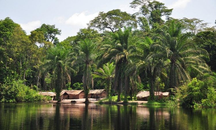 Traditional huts along rainforest riverbank at Lomako-Yokokala Faunal Reserve, Tshuapa, DRC