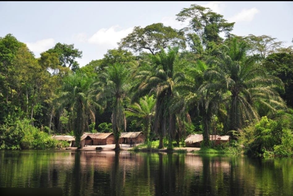 Pristine rainforest of Lomako-Yokokala Wildlife Reserve with river