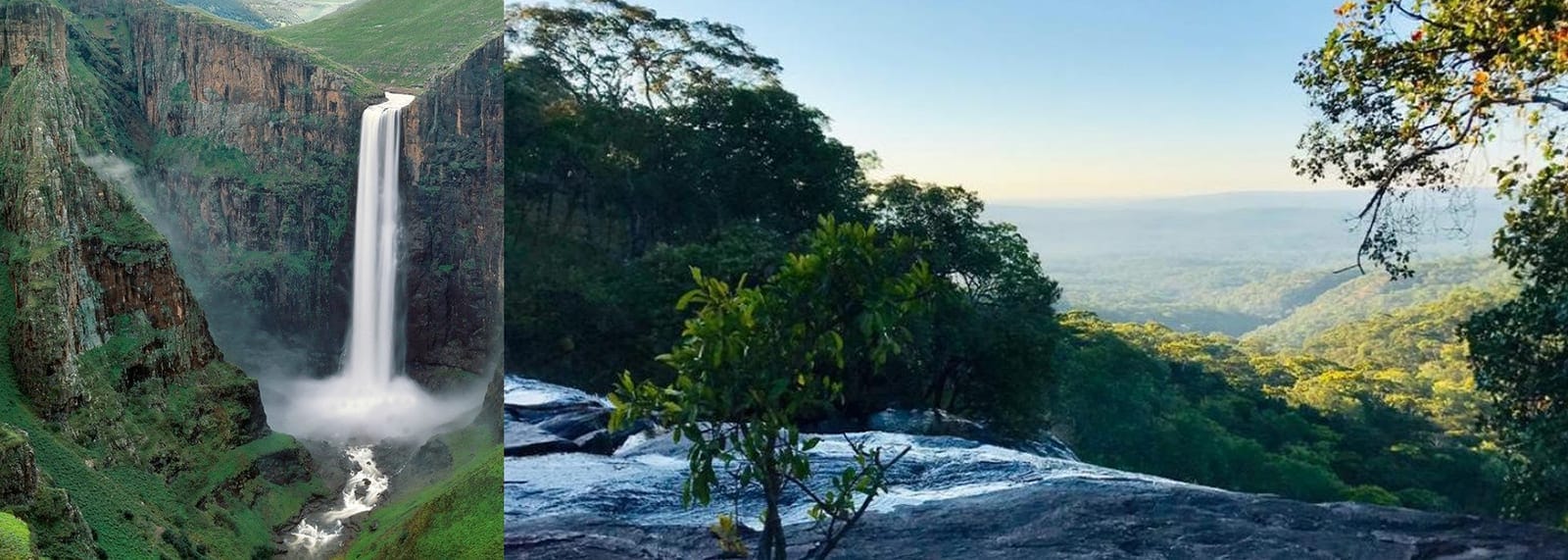 Bonobos and rainforest wildlife in Lomami National Park