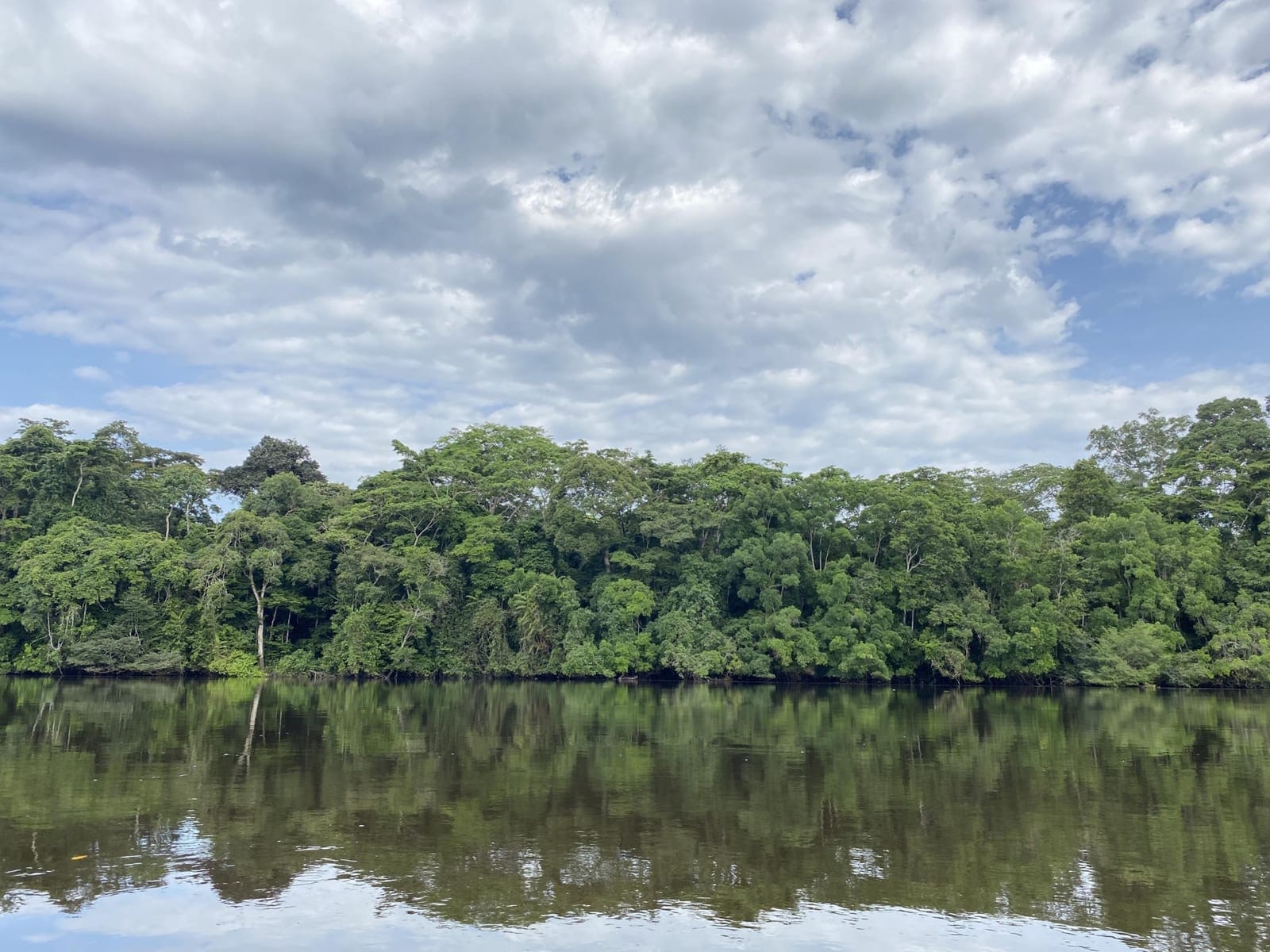 Lomami River with pristine rainforest reflections and lush vegetation