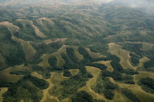 Gallery forests along rivers at Luama Katanga Nature Reserve, Haut-Katanga, DRC