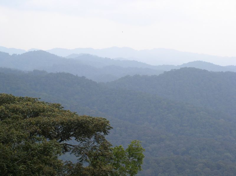 Luama Kivu Total Game Reserve