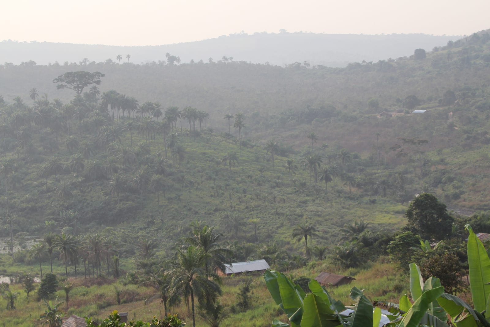 View of savanna-forest mosaic landscape in Bushimaie Hunting Domain, Greater Kasai, DRC