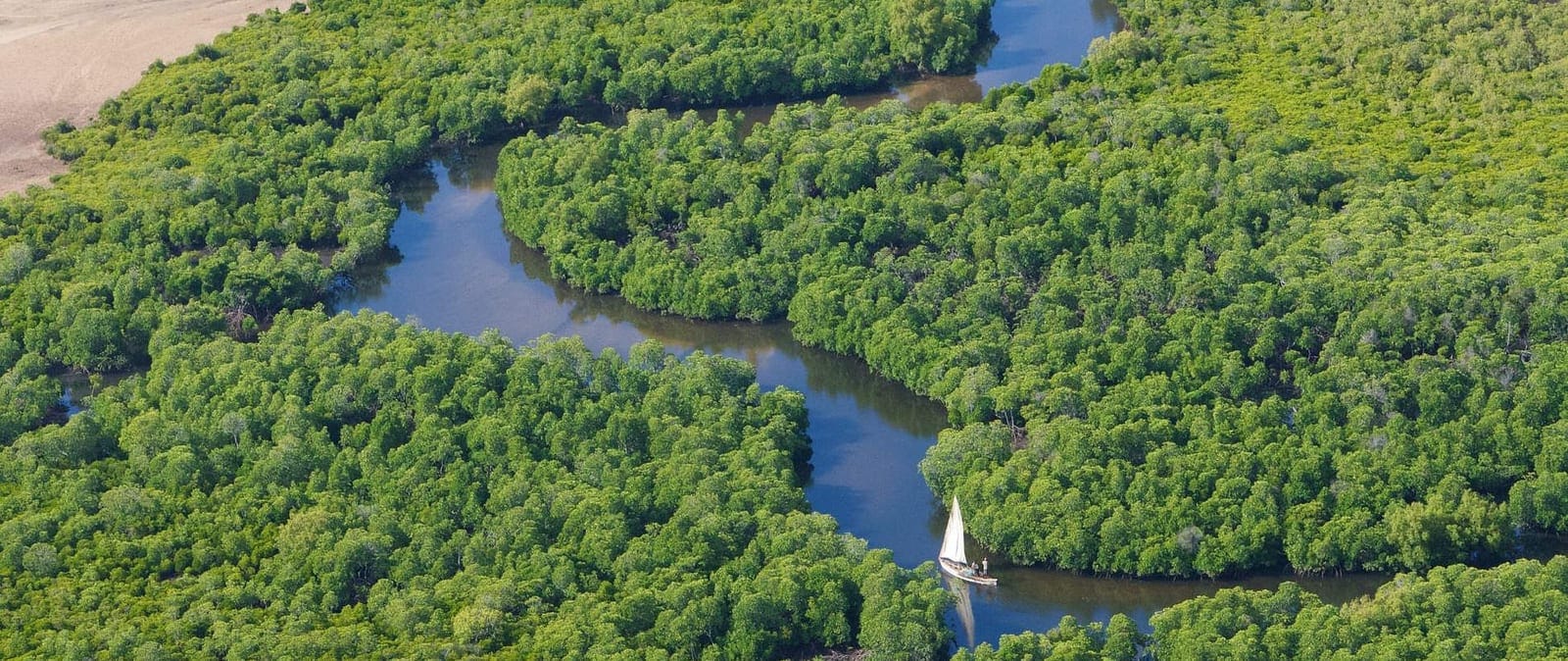 Coastal mangrove ecosystems in Mangroves National Park DRC