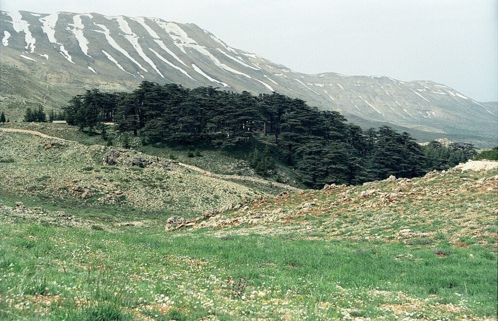 Mount Hoyo & Caves