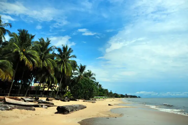Sandy beach and palm trees along the Atlantic coast at Muanda in DRC