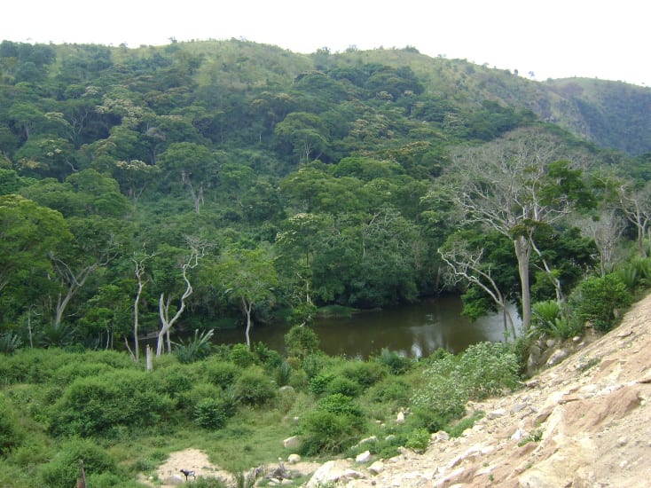 Mulumbu Hunting Domain
