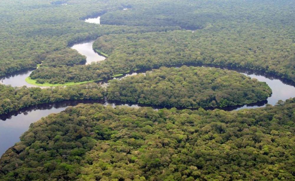 Aerial view of Congo Basin rainforest at Ngandja Nature Reserve, central DRC