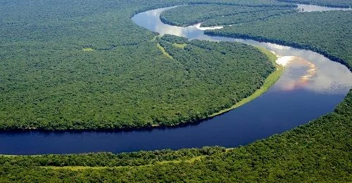 Aerial view of Salonga National Park's rainforest and meandering Lokoro river