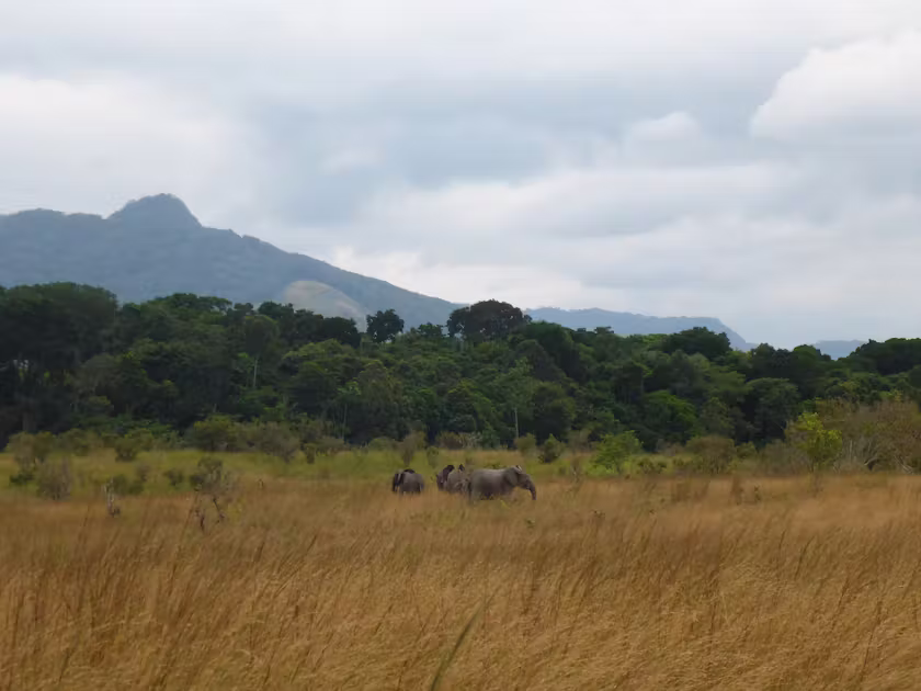 Southern Savanna Landscapes