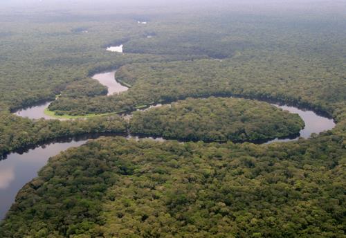 Tshuapa River meandering through pristine Congo Basin rainforest near Salonga National Park in Democratic Republic of Congo