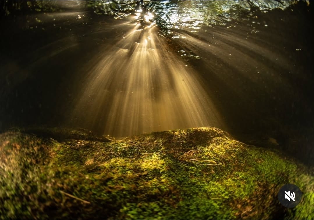 Sunrays piercing underwater in Upemba waters
