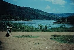Zongo Bayou Wetlands